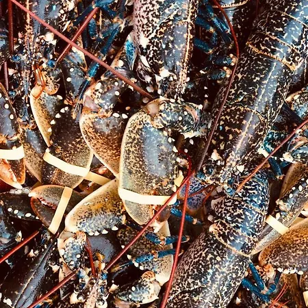 Le Parc Aux Huitres Restaurant 2* Cayeux-sur-Mer