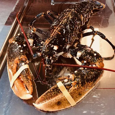 Le Parc Aux Huitres Restaurant Hotel 2*