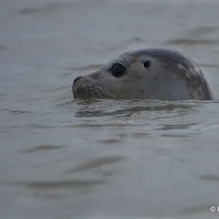 Le Parc Aux Huitres Restaurant