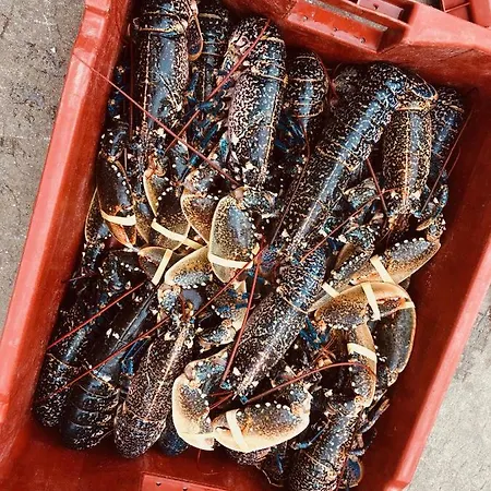 Le Parc Aux Huitres Restaurant Ξενοδοχείο Cayeux-sur-Mer