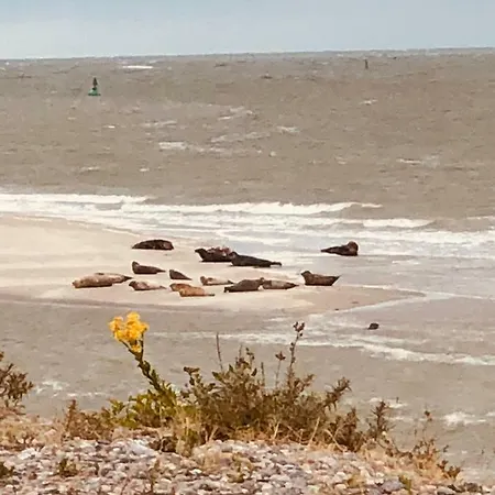 Ξενοδοχείο Le Parc Aux Huitres Restaurant 2*