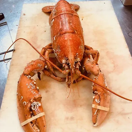 Le Parc Aux Huitres Restaurant Ξενοδοχείο Cayeux-sur-Mer