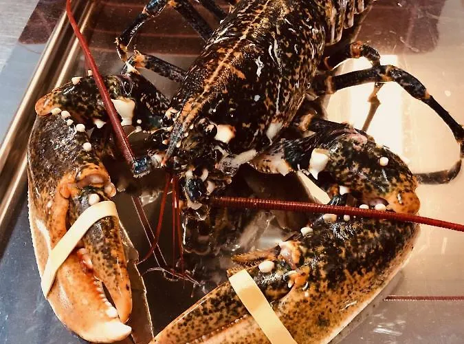 Le Parc Aux Huîtres Hotel 2*