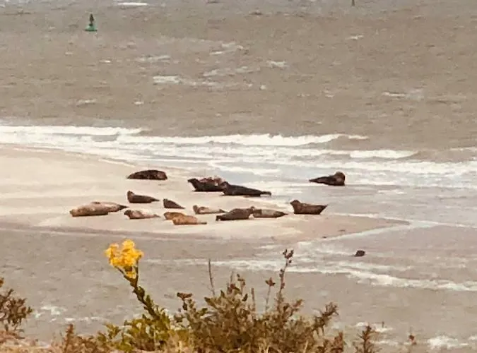 Hotel Le Parc Aux Huîtres 2*