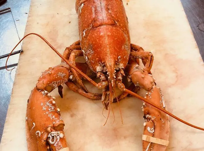 Le Parc Aux Huîtres Hotel Cayeux-sur-Mer